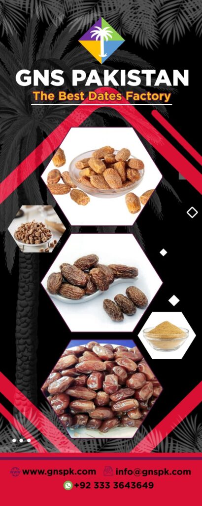 Pitted Dates Suppliers - GNS Pakistan Dates
